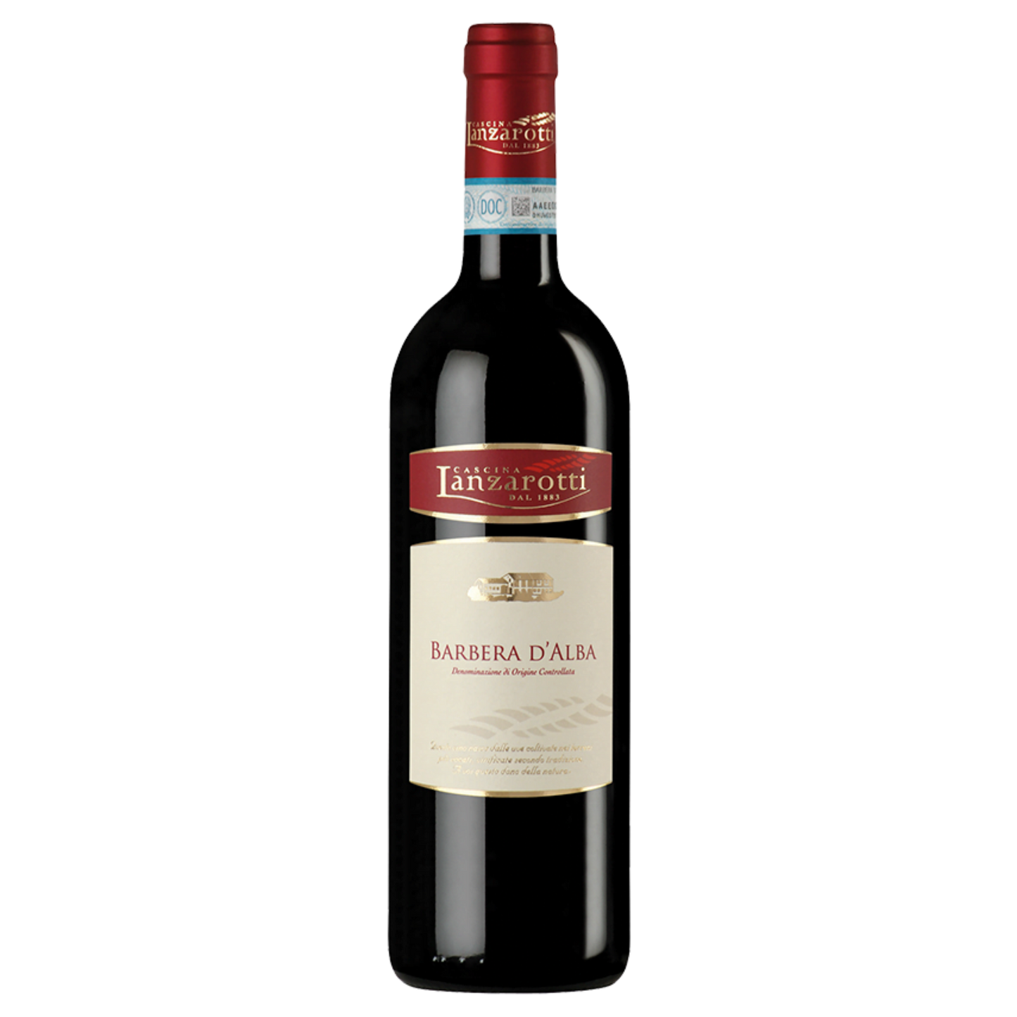 Barbera d'Alba – DOC 2023 – Cascina Lanzarotti