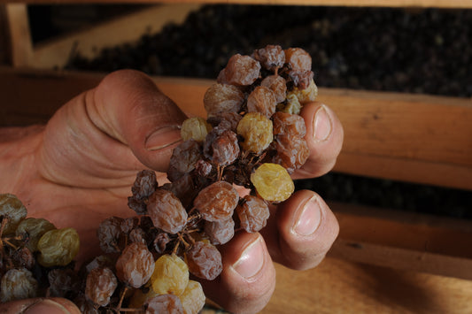 Vino Santo Nosiola Trentino Gino Pedrotti