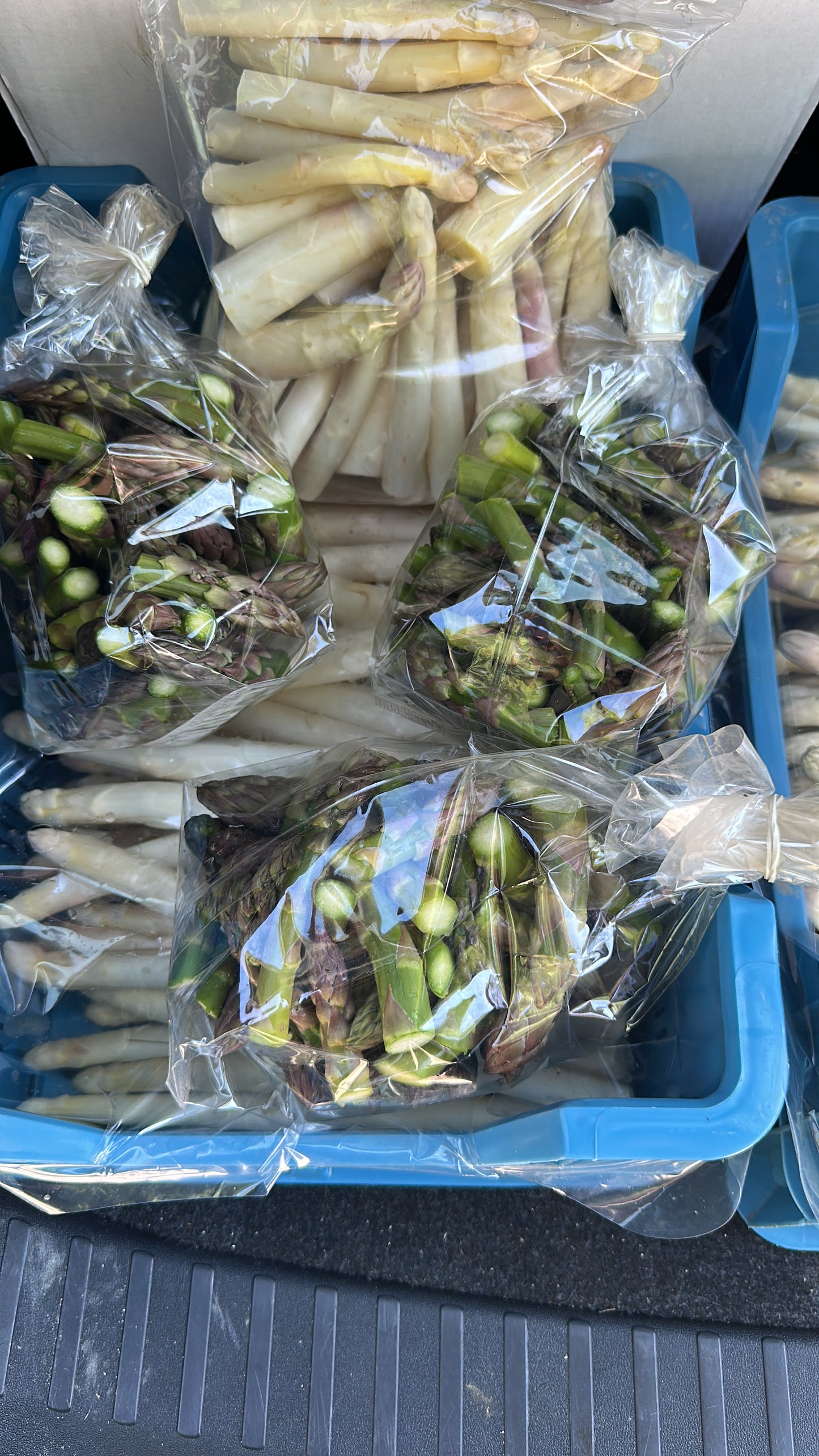 Verse biologische asperges - Zuyderzee