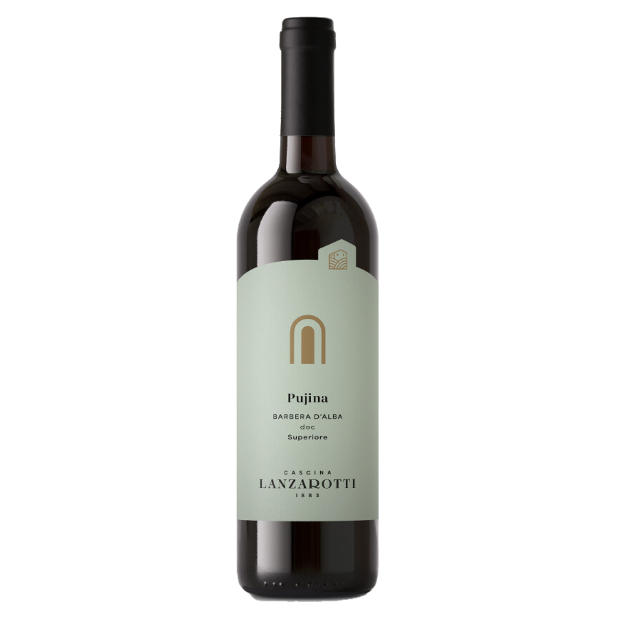 Barbera d'Alba Superiore "Pujina" 2021 Cascina Lanzarotti DOC